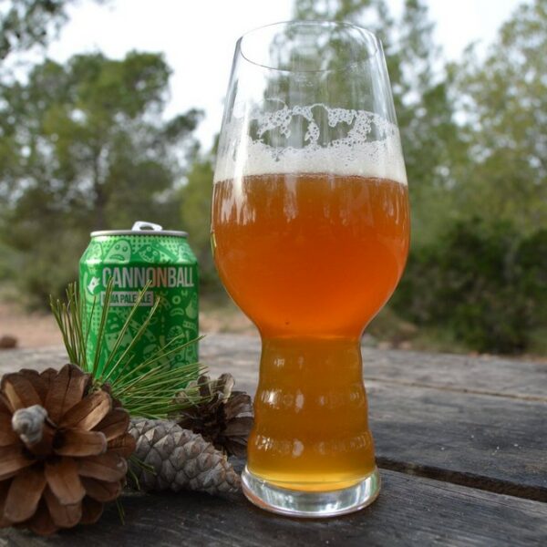 cristaleria castellon copa para cerveza