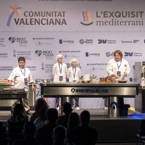 Fogones de gas para cocina Castellon