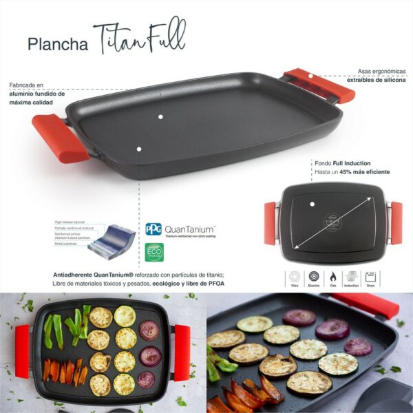 Plancha de induccion Castellon