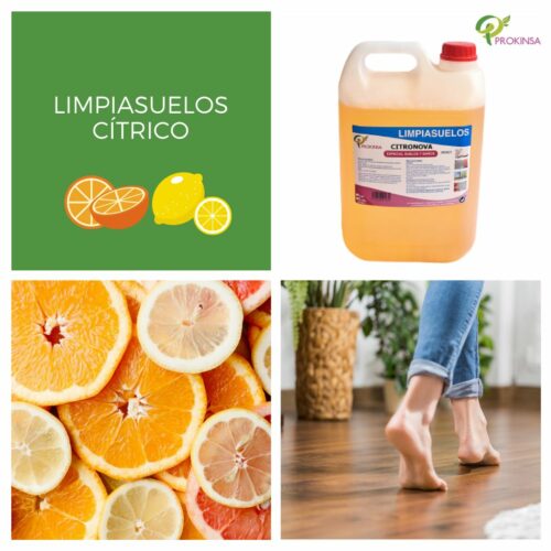 Limpiasuelos Aromatizado PROKINSA